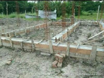 Ashim Saha (Consultant)