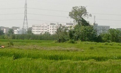 Piyali Property
